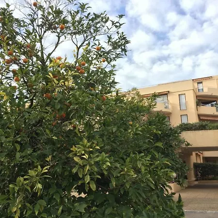 Les Orangers Apartment